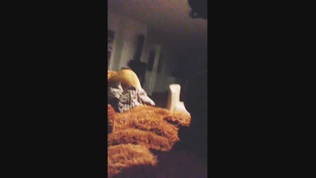 I'd rather fuck teddy than you (cuckhold) video from Alice Bitchcraft