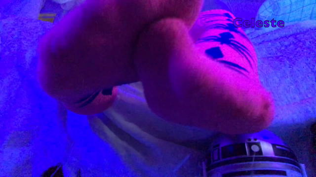 Sock Slut at the Party video from Celeste