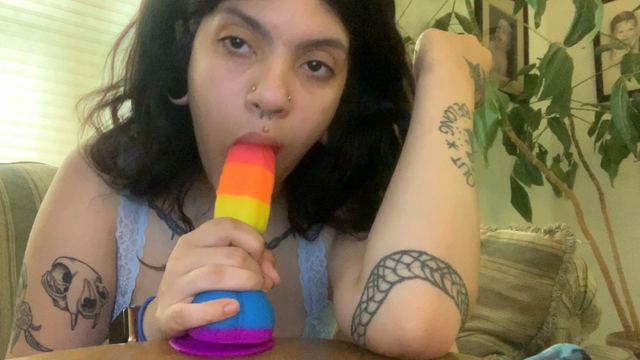 Rainbow Sucker! video from Holly Brat