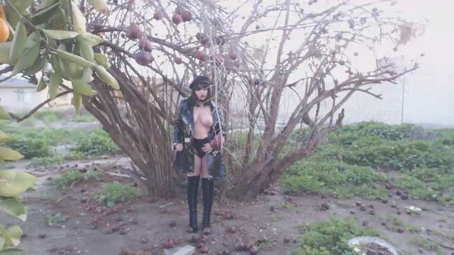 public pomegranate tree tease video from Jill Rose