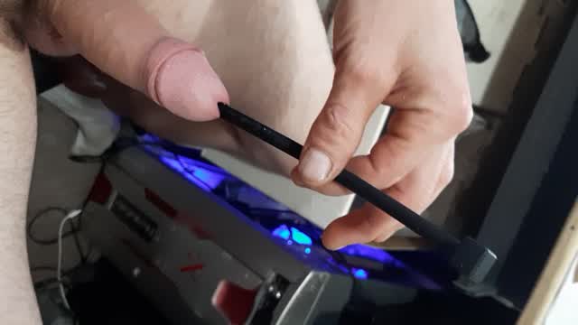 urethral sounding video from