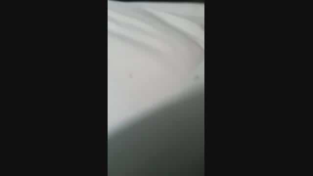 Blowjob & pounded video from