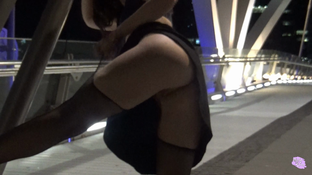 Stripping and Cumming Outside Melb Sexpo video from MistyRains