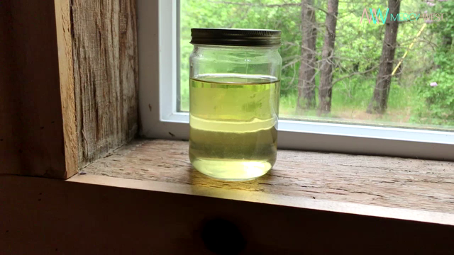 Pissing In The Woods & Cabin video from Mx. Mercy West