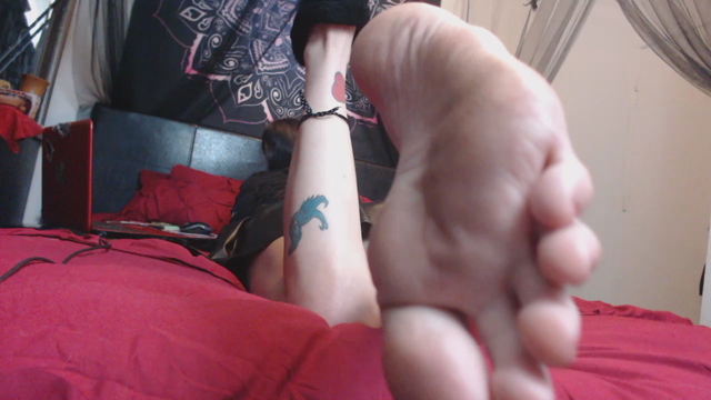 On your Knees POV Foot Play Tease video from Alace Amory