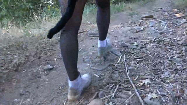 Hiking Trail Tails HD video from ?ClaireFinal