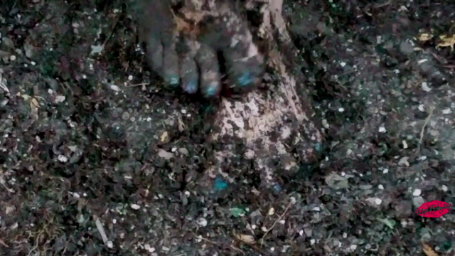 Riley's Muddy Toes video from RentRiley