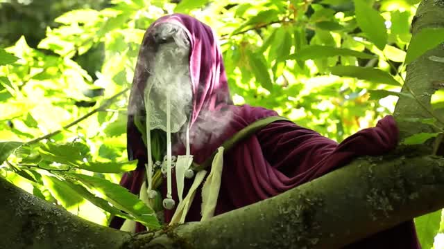 A Sunday Hike video from Saira Barbaric