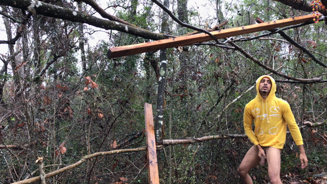 King of the Rainforest (4K) video from Arthur Eden