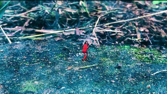 Jinkies! Dinkley's Shrinking! video from BlackxRose92