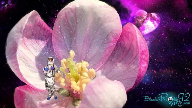 A Shrinking Sci-Fi Adventure In Space video from BlackxRose92