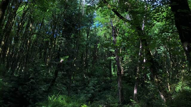 Welcome To My Office video from Enchantress