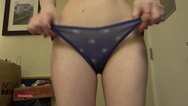 A Ton of Panties To Try On video from DestinationKat