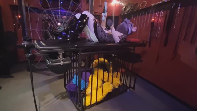 Arrestet under me video from RubberDollFraya