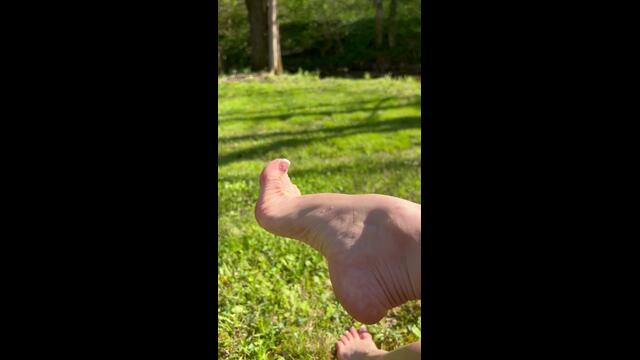 A Walk in the Grass video from Holly Delight