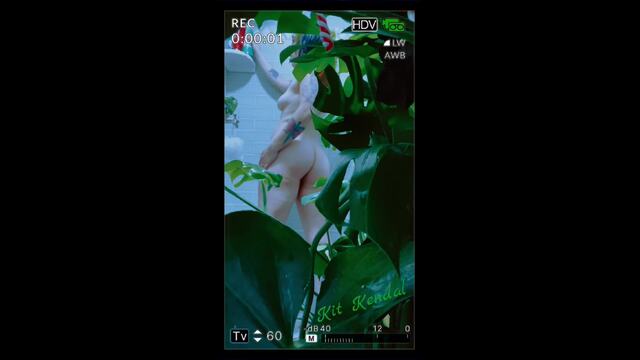 Jolyne Kujo : GDST Prison Shower Surveillance Tape video from Kit Kendal