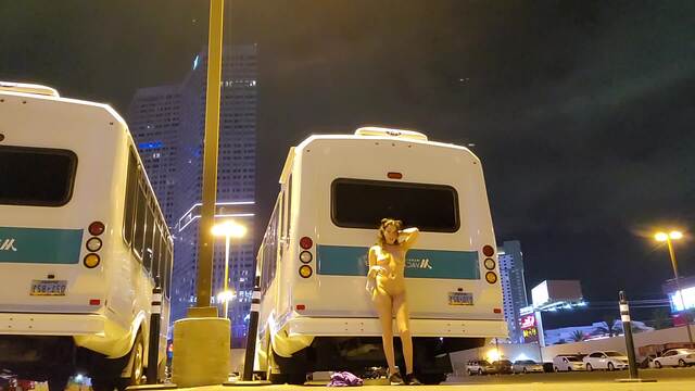 Solo Fuck SLUT in Public video from Nicole Niagara