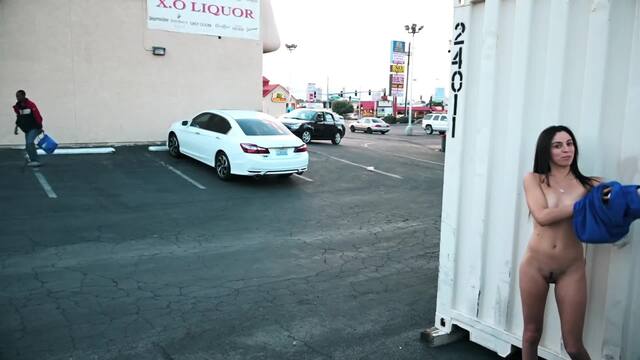 Sneaky Exhibitionist Waiting To Get Caught video from Nicole Niagara