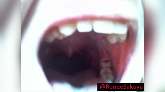 Mouth fetish, inside of mouth video from Renee Sakuya