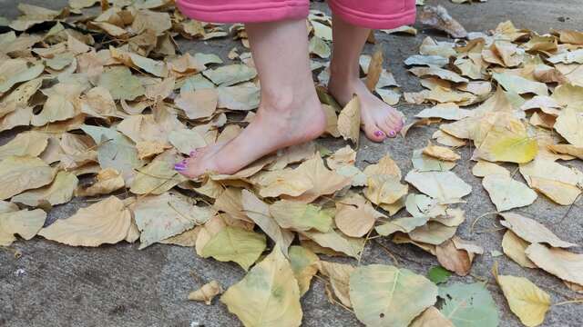 Dirty Feet Smashing Leaves in Fall video from Violet Dixon
